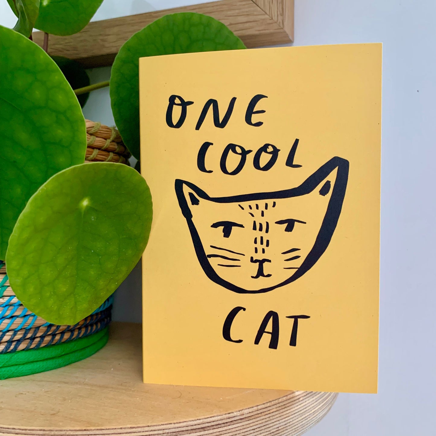 One Cool Cat greeting card