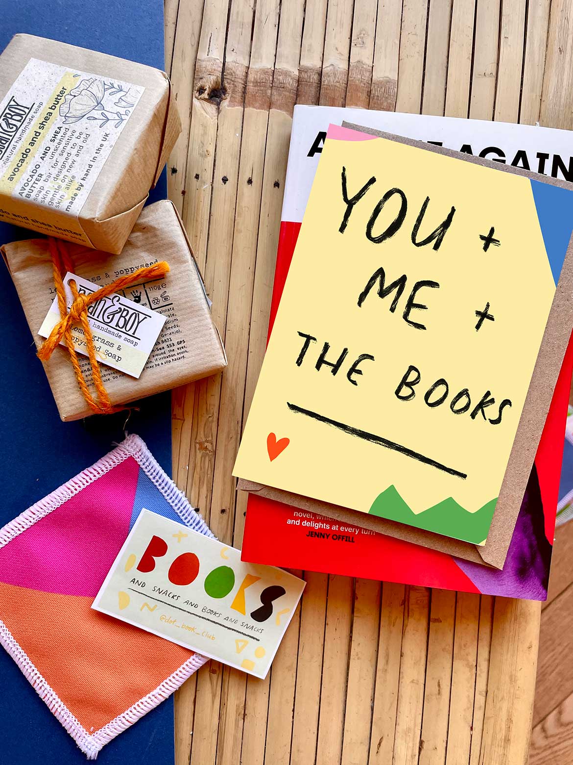 dot books book club: March-April box! Ask Me Again by Clare Sestanovich