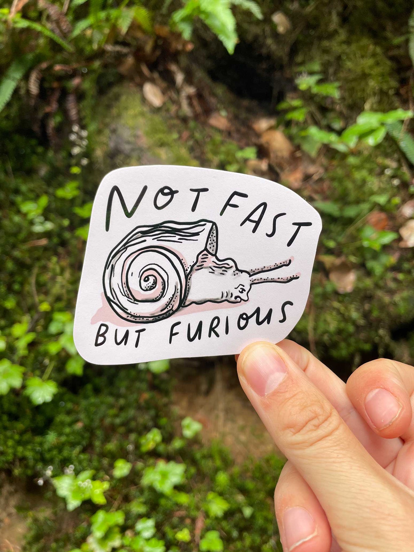 Not Fast but furious vinyl sticker