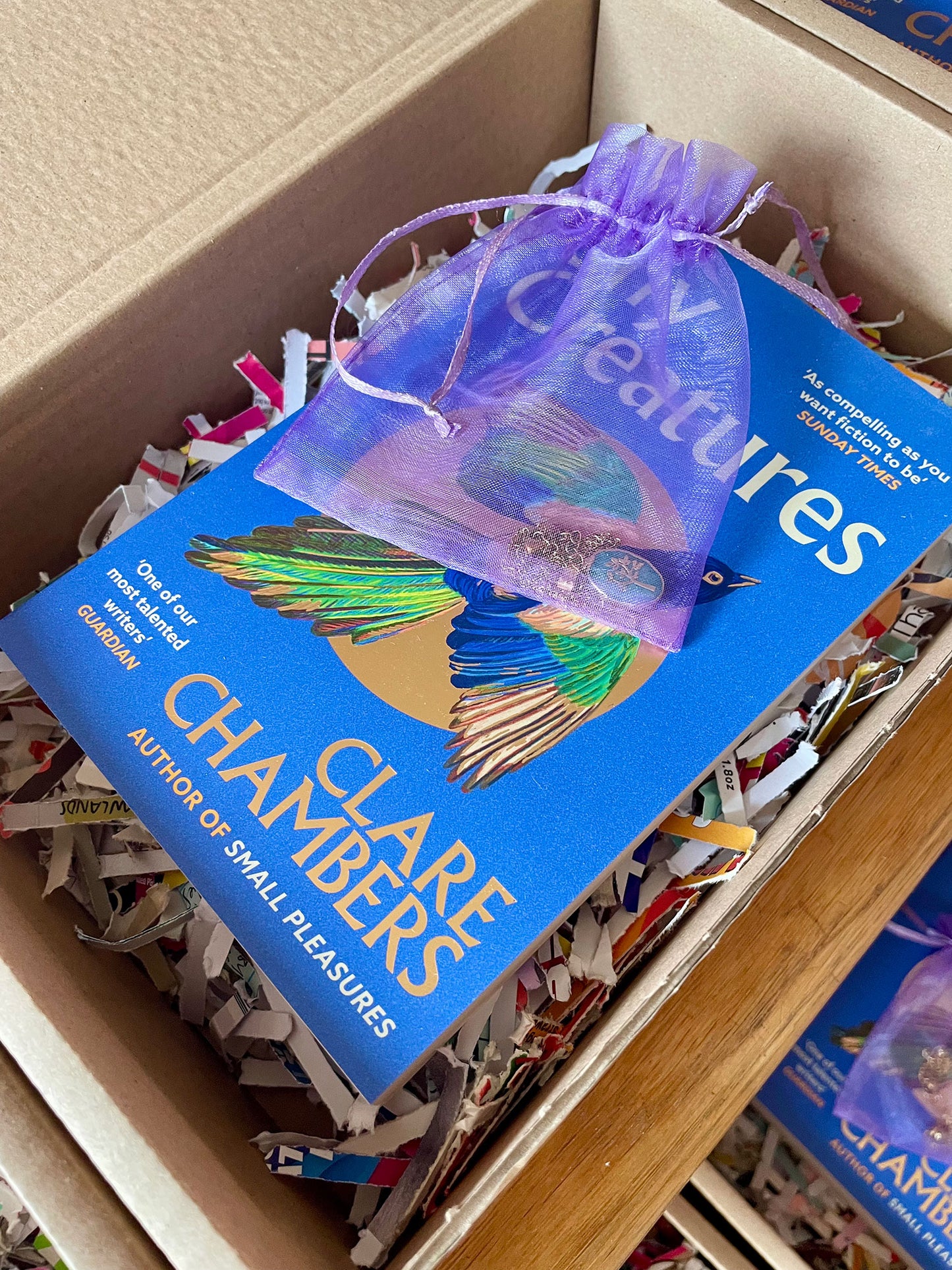 dot books book club: Number 10! March/April 2026
