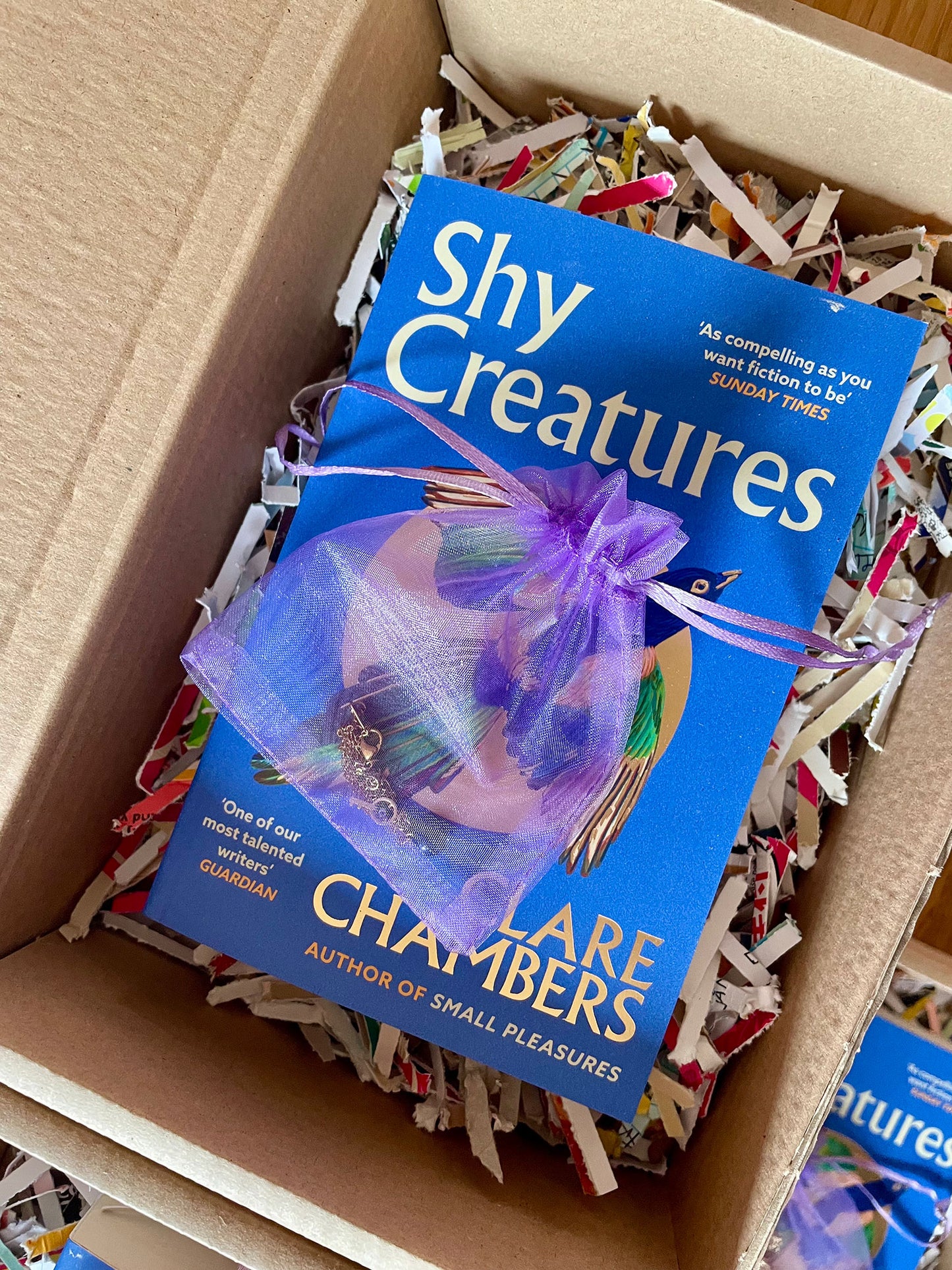 dot books book club: Number 10! March/April 2026