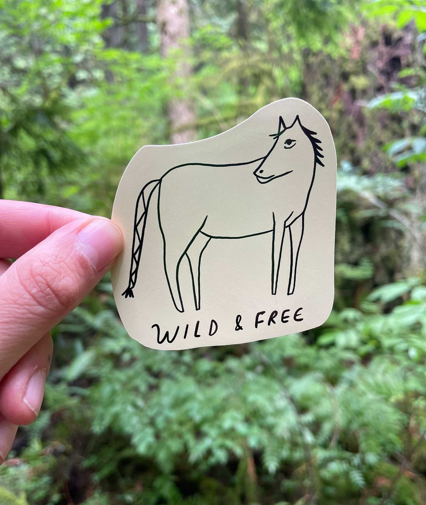 Wild & Free vinyl sticker