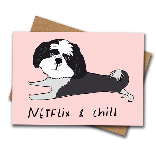 Netflix & Chill card